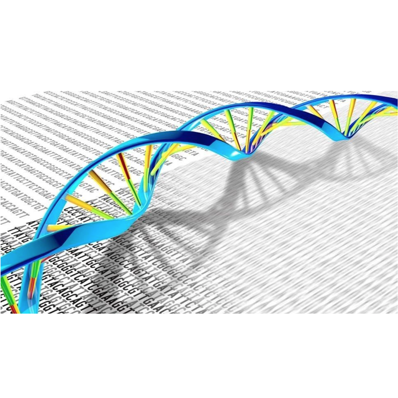 Cell sequencing services